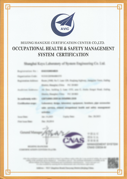 職業(yè)健康英文版